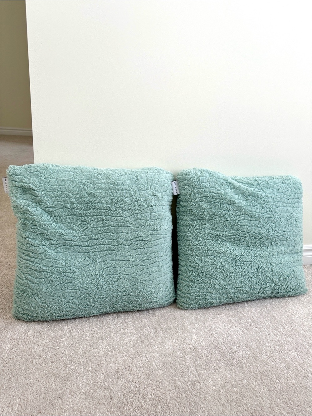 Bella Luxx Aqua Teal Plush Accent Pillow Pair